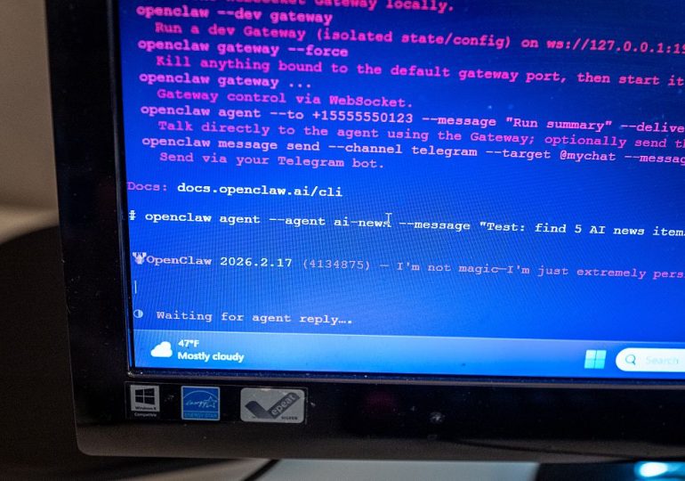 Chat, Code, Claw: What Happens When AI Agents Work in Teams