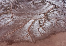 How to Save the Colorado River