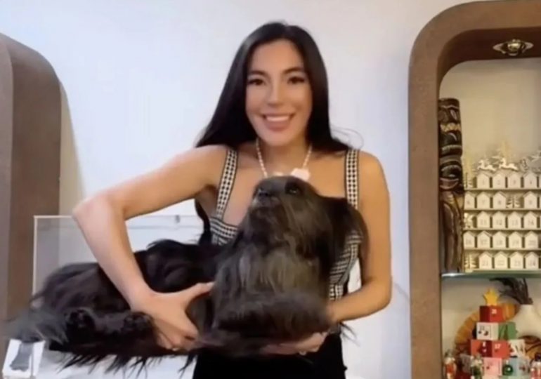 Glam influencer sparks outrage after freeze-drying her dead DOG and putting it on display in ‘creepy’ bid for likes