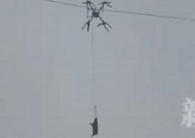 Moment ‘flying’ pig being transported by DRONE gets caught in power line – triggering 10 hour blackout