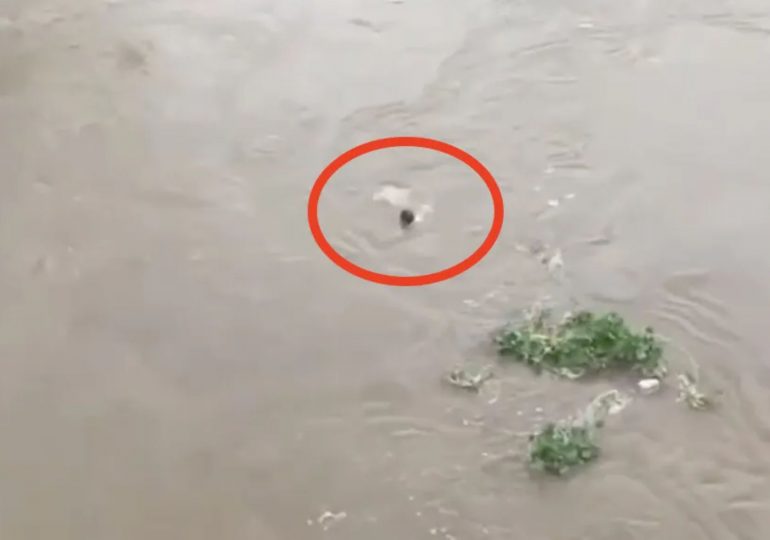 Tragic moment influencer jumps to his death from bridge into fast-flowing river for viral livestream challenge