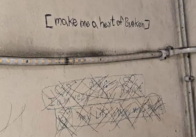 ‘Very alone’…Sisters’ haunting words scrawled on wall before they fell to their deaths after becoming ‘obsessed by game’