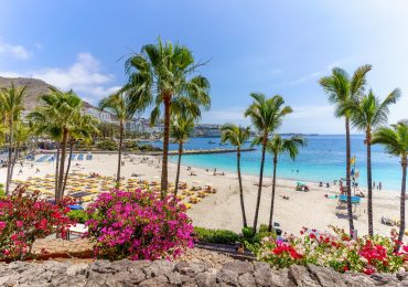 ‘Crooked’ police officer in top holiday destination accused of pocketing £120k from tourists for bogus traffic offences