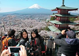 Japanese city cancels famous cherry blossom festival for FIRST time in crackdown on tourists