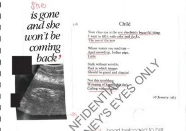 Epstein ‘had MULTIPLE secret children including baby with teen girl’ – as victim diaries reveal ‘human incubator’ claims