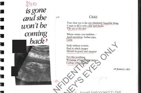 Epstein ‘had MULTIPLE secret children including baby with teen girl’ – as victim diaries reveal ‘human incubator’ claims