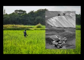 The Phosphorus Paradox