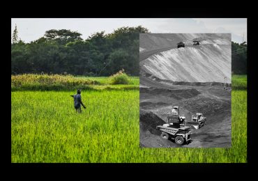 The Phosphorus Paradox