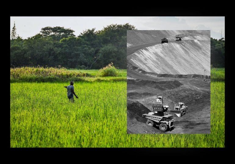 The Phosphorus Paradox