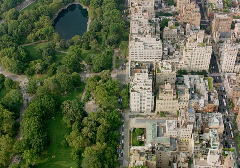 Arbor Day Is Actually About Infrastructure