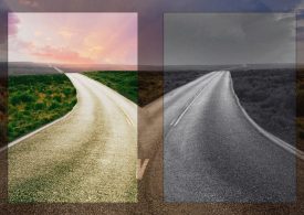 Forget the Midlife Crisis. It May Be Your Happiest Chapter Yet