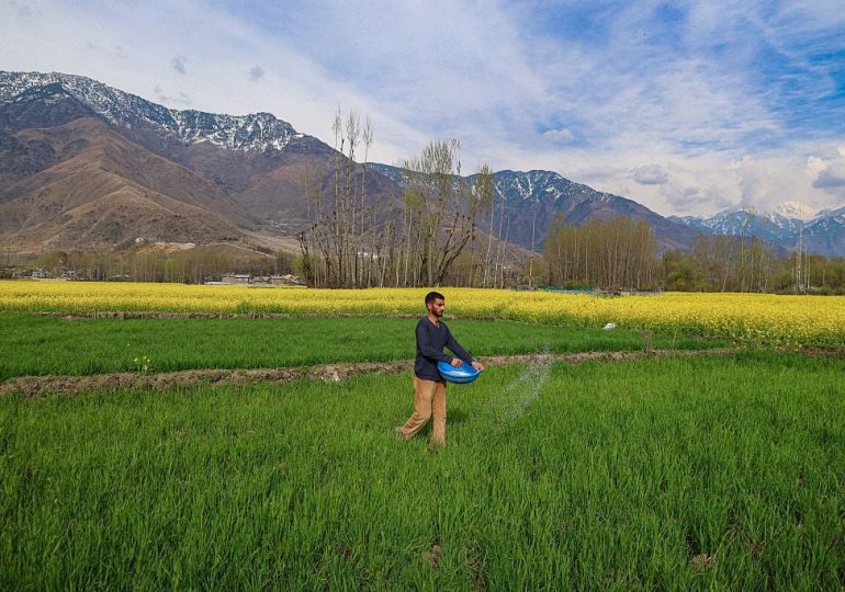 A Long Gulf War Can Starve the World. A Hormuz Transit Deal Could Save Millions.