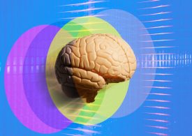 The Neuroscience of the Self