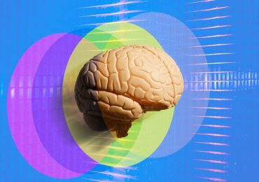 The Neuroscience of the Self