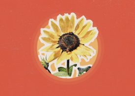 Why You Should Stop and Smell a Flower For Just 30 Seconds