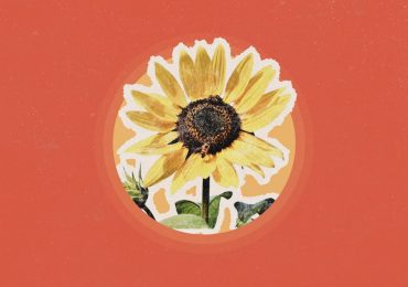 Why You Should Stop and Smell a Flower For Just 30 Seconds