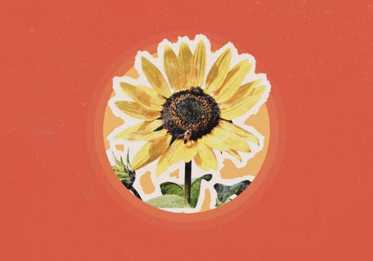 Why You Should Stop and Smell a Flower For Just 30 Seconds