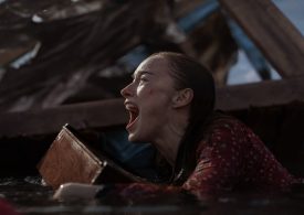 Netflix Shark Thriller Thrash Doesn't Know What Kind of Creature Feature It Wants to Be