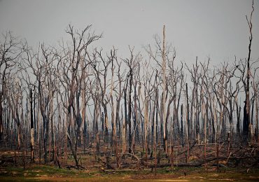 J.P. Morgan Is Thinking About Climate Tipping Points