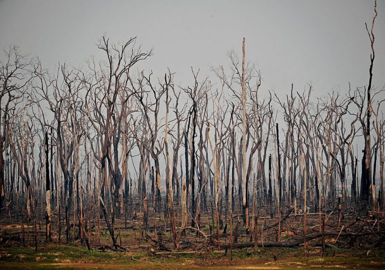 J.P. Morgan Is Thinking About Climate Tipping Points